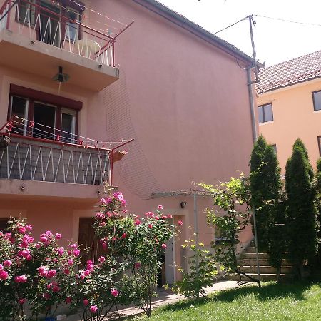 Apartmani Konta ليفنو المظهر الخارجي الصورة